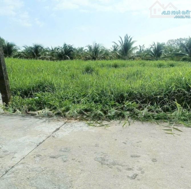 ✅ Bán đất thổ hẽm 79 đường Châu Thị Kim thuộc An Vĩnh Ngãi , TP Tân An _ DT: 5 x 29.3 - 4
