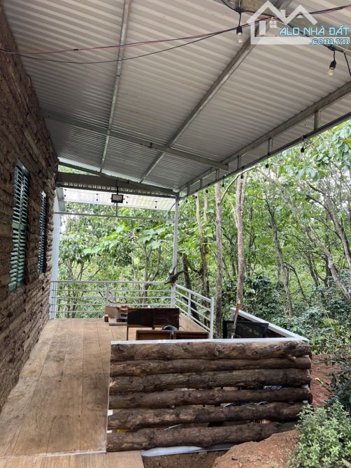 🏡✨BÁN NHÀ XUÂN TRƯỜNG - ĐÀ LẠT - ✨✨CHỈ VỚI 1.5 TỶ VỪA CÓ NHÀ VỪA ĐẤT VỚI DIỆN TÍCH 1000M2 - 4