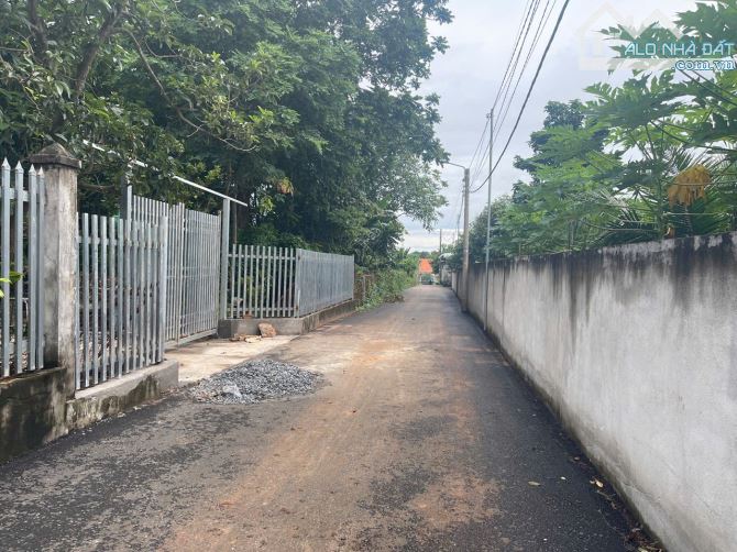 CẦN BÁN GẤP LÔ ĐẤT ĐƯỜNG NHỰA NGÀY TRUNG TÂM XÃ HOÀ LONG BR-VT 🚨 - 4