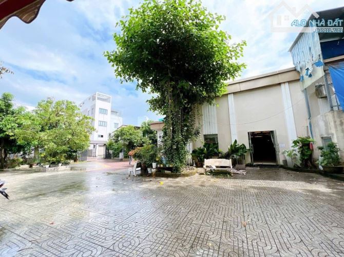 Cho thuê nhà hàng 1600m2 Trung Tâm Thành Phố Biên Hoà - 4