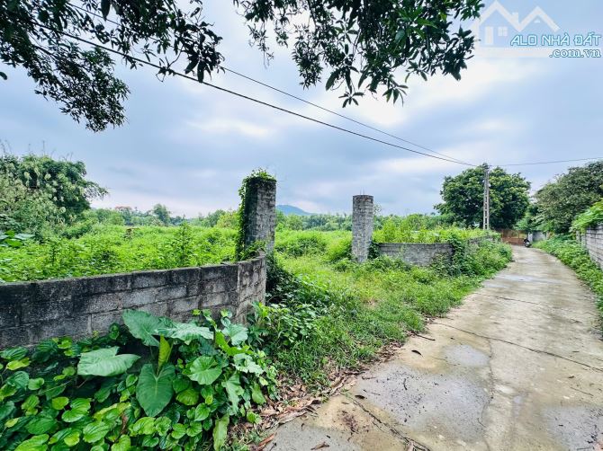 SIÊU PHẨM 1410m2 - MT50m - PHÂN LÀM 8 LÔ TỐT - VIEW CÁNH ĐỒNG - CÁCH ĐƯỜNG LIÊN XÃ 300m - 4