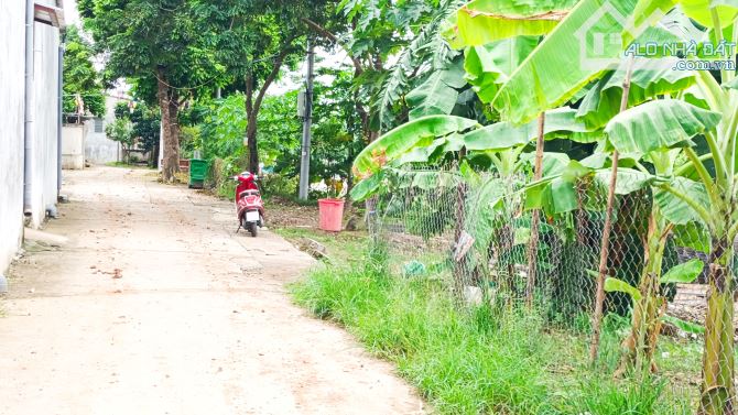 VÕNG LA LÔ GÓC Ô TÔ TRÁNH VIEW SÔNG 116M , MẶT TIỀN 8, 5 M - 5
