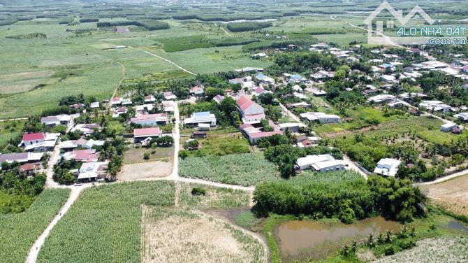 💥B.án nhanh 2 lô đất vườn Diên Lâm (Diên Đồng) ngay khu bàn cờ dân cư - 1138m2💥 - 5