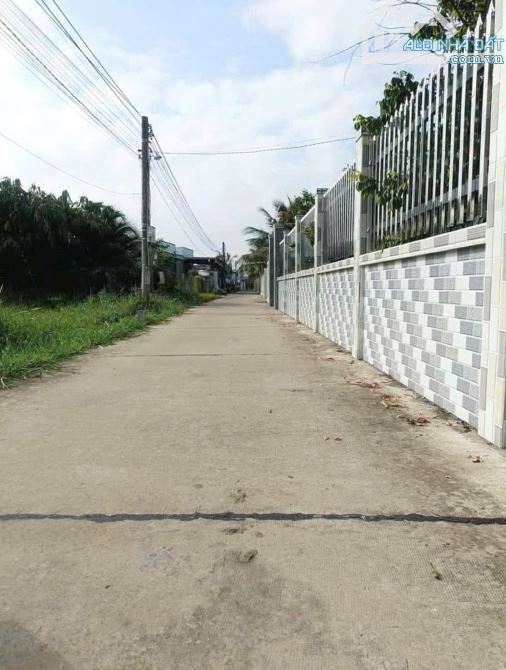 ✅ Bán đất thổ hẽm 79 đường Châu Thị Kim thuộc An Vĩnh Ngãi , TP Tân An _ DT: 5 x 29.3 - 5
