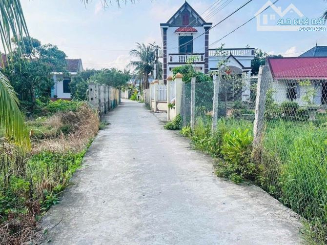 Bán đất Minh Tân - Kiến Thụy - Hải Phòng - 5