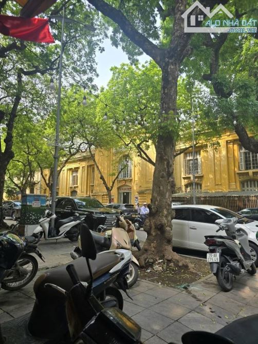 Bán Nhà Phố Lê Thánh Tông Hoàn Kiếm 35m2-4T 1 SỔ 1 CHỦ 14,3 Tỷ Có Thương Lượng. - 5