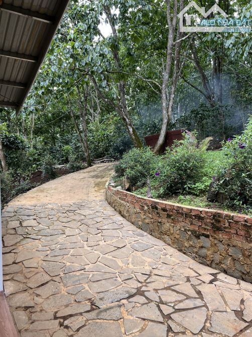 🏡✨BÁN NHÀ XUÂN TRƯỜNG - ĐÀ LẠT - ✨✨CHỈ VỚI 1.5 TỶ VỪA CÓ NHÀ VỪA ĐẤT VỚI DIỆN TÍCH 1000M2 - 5