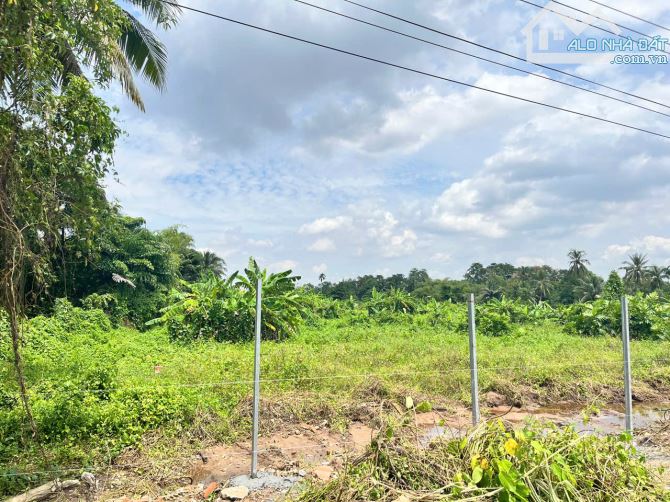 ĐẤT TRỐNG 2,2ha – MẶT TIỀN LỚN – THUẬN AN, BÌNH DƯƠNG – CHỈ 750 TỶ! - 5