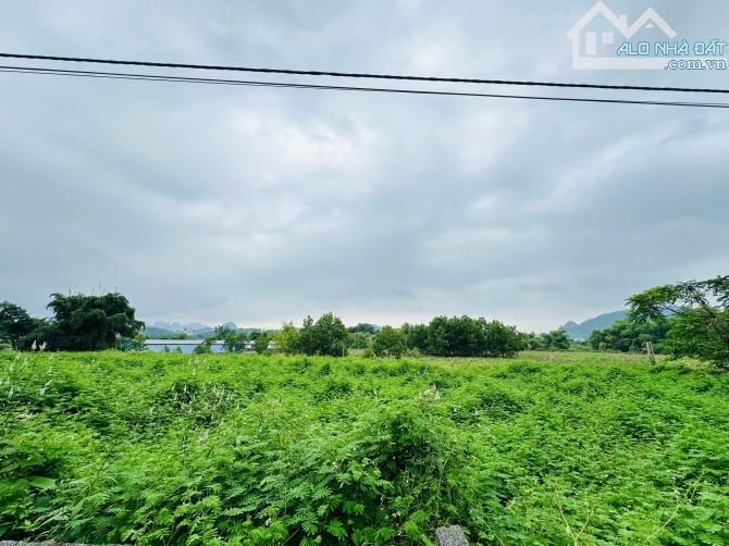 SIÊU PHẨM 1410m2 - MT50m - PHÂN LÀM 8 LÔ TỐT - VIEW CÁNH ĐỒNG - CÁCH ĐƯỜNG LIÊN XÃ 300m - 5