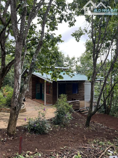 🏡✨BÁN NHÀ XUÂN TRƯỜNG - ĐÀ LẠT - ✨✨CHỈ VỚI 1.5 TỶ VỪA CÓ NHÀ VỪA ĐẤT VỚI DIỆN TÍCH 1000M2 - 6