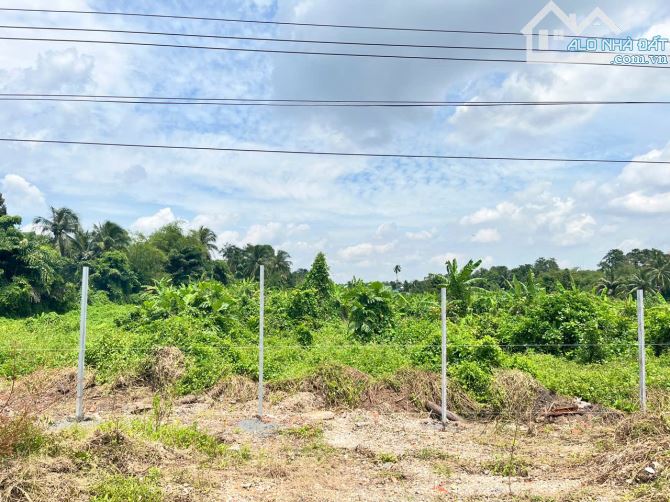 ĐẤT TRỐNG 2,2ha – MẶT TIỀN LỚN – THUẬN AN, BÌNH DƯƠNG – CHỈ 750 TỶ! - 6