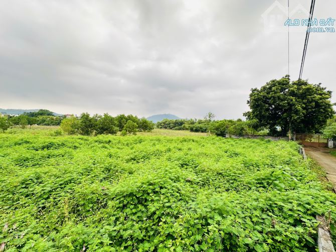 SIÊU PHẨM 1410m2 - MT50m - PHÂN LÀM 8 LÔ TỐT - VIEW CÁNH ĐỒNG - CÁCH ĐƯỜNG LIÊN XÃ 300m - 6