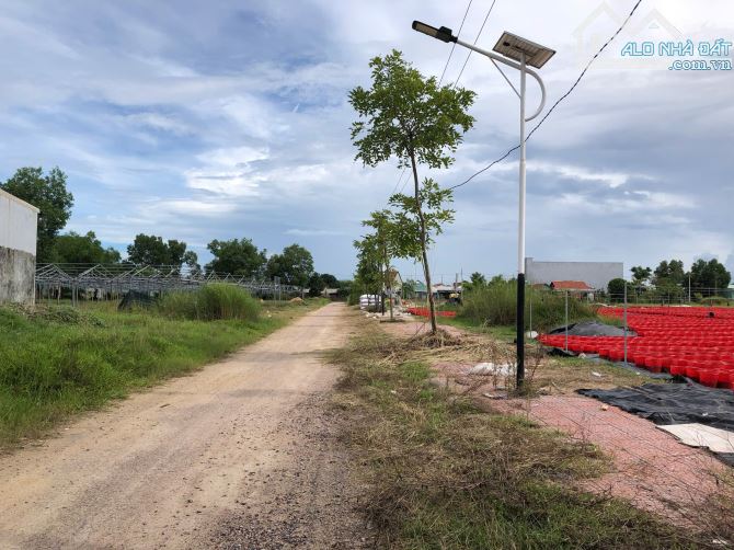 Bán đất nền 203m2 (7x29m) đường T8 cụm khu công nghiệp Tây An - xã Duy Xuyên - Đà Nẵng - 7