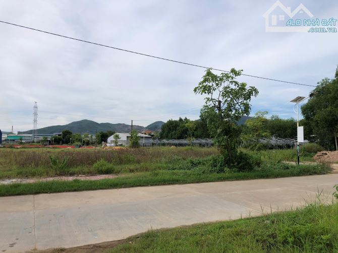 Bán đất nền 203m2 (7x29m) đường T8 cụm khu công nghiệp Tây An - xã Duy Xuyên - Đà Nẵng - 8