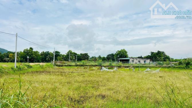 LÔ GÓC 35x40m ngay GLAMPING ĐỒNG GIÓ➡➡CÁCH BIỂN CHỈ 2KM   - gần đường quy hoạch đi thẳng r - 9
