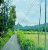 LÔ GÓC 35x40m ngay GLAMPING ĐỒNG GIÓ➡➡CÁCH BIỂN CHỈ 2KM   - gần đường quy hoạch đi thẳng r