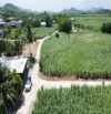 💥B.án nhanh 2 lô đất vườn Diên Lâm (Diên Đồng) ngay khu bàn cờ dân cư - 1138m2💥