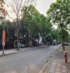 Bán đất tặng nhà 6 tầng mặt phố Kim Quan Thượng, kinh doanh tốt, giáp VinHarmony