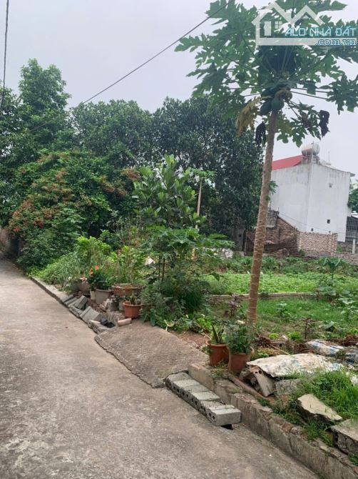 ❌❌Chính chủ e bán đất siêu đẹp tại Cổ châu - Nam phong - Phú Xuyên - H