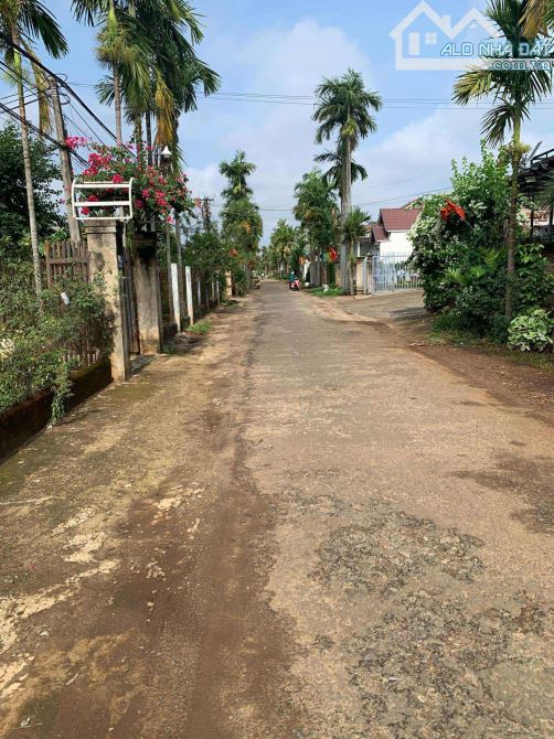 Cần Bán Lô Đất Đường 2B Phường Tân An (Hoà Thuận Cũ )BMT