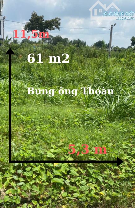 Đ ẤT PHÚ HỮU Q9 – 61M² – ĐƯỜNG 10M –  4.56 TỶ