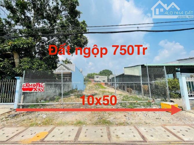 BÁN LỖ BÁN THÁO LÔ ĐẤT 500M2 MẶT TIỀN ĐƯỜNG NGUYỄN KIM CƯƠNG, CỦ CHI GIÁ CHỈ 750 TRIỆU