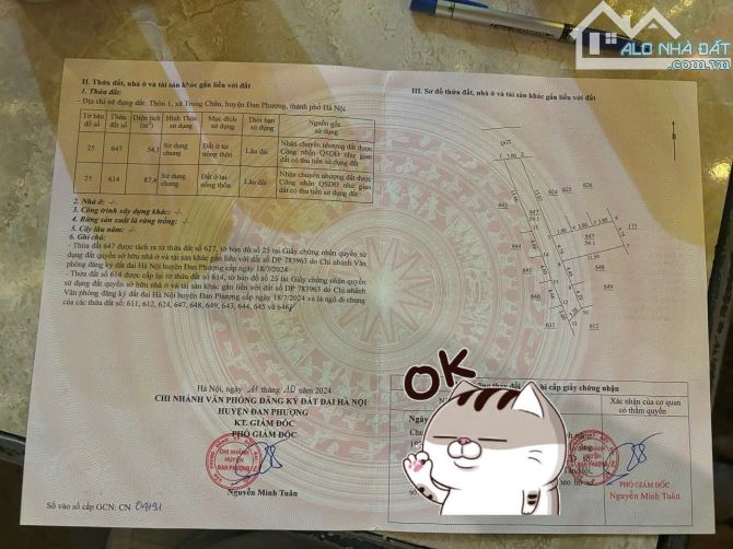 🌟 Đất đẹp Trung Châu A – chỉ cách 1 lô ra trục ô tô tránh giá hơn 2 tỷ! 🌟