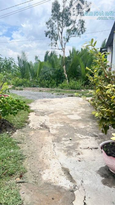Bán 760m2 Đất CLN, có Đường 3 gác tới đất - Xã Hiệp Phước