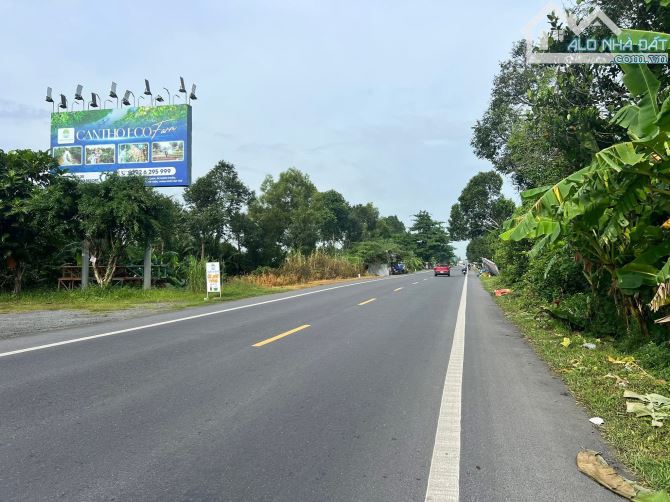 🔇Bán 956m2 đất mặt tiền Quốc lộ 61C thuộc Xã Nhơn Ái TP. Cần Thơ giá chỉ 4.8 tỷ