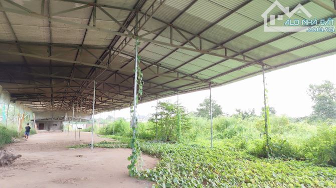 Xưởng Và Đất 9000m2 Quảng Tiếng Trảng Bom Đồng Nai Điện 3fa Đường Cont Thoải mái