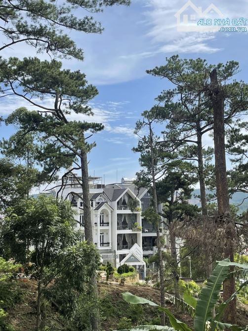 Bán Nhà Phố View thông trung tâm Đà Lạt – cách chợ 1km, 9 phòng ngủ, thu nhập đều.