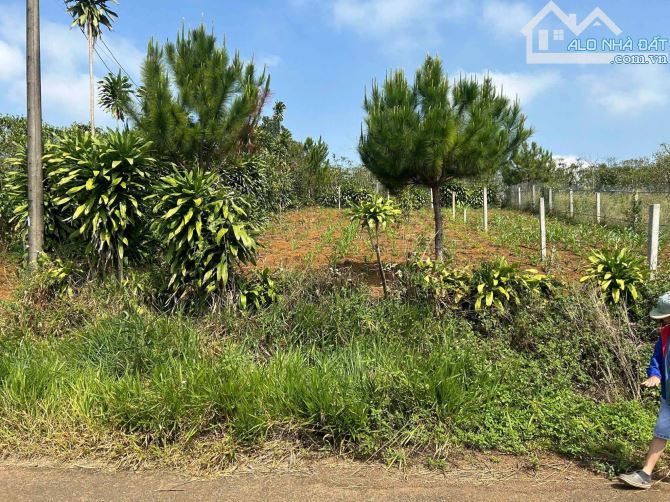 Bán đất đường 20 thôn 7 Lộc Quảng, nay là xã Bảo Lâm 1