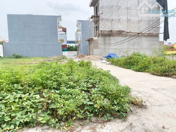 Bán đất 63m2 tại bạt 33 lô Quỳnh Hoàng, Nam Sơn, An Dương, giá 1,65 tỷ  -Lô đất mặt tiền r