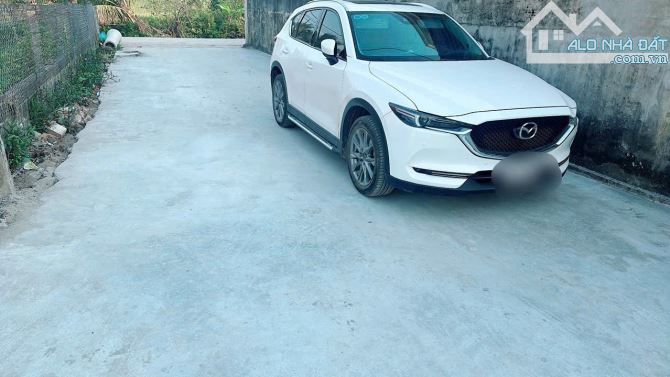 146m2 đất rộng tại Tân Phong, Kiến Thụy làm nhà vườn đẹp
