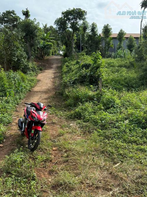 bán đất hẻm cấp 1 đường chính Eakao - buôn Tăng Ju