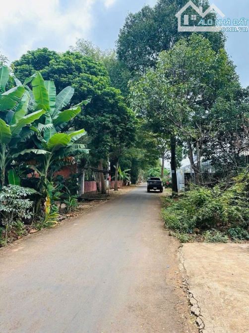 🌈Đất Dài Đẹp Trục Lộ 2 - Buôn Ky Thành Nhất (5x49m👉1.45 tỷ) - 1
