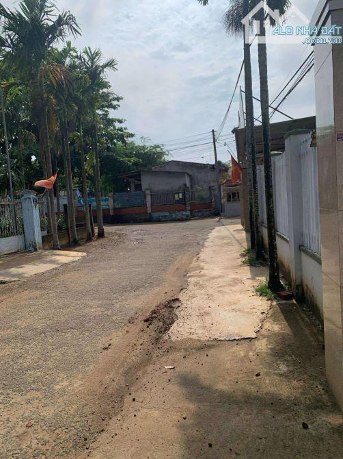 Cần Bán Lô Đất Đường 2B Phường Tân An (Hoà Thuận Cũ )BMT - 1