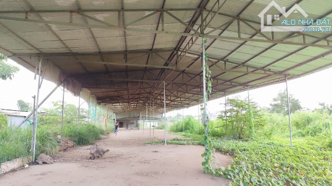 XT501 ➡️ Cho thuê đất và xưởng tạm 9000m2 - Quảng Tiến - Trảng Bom - ĐN. Chỉ 25tr/tháng. — - 1