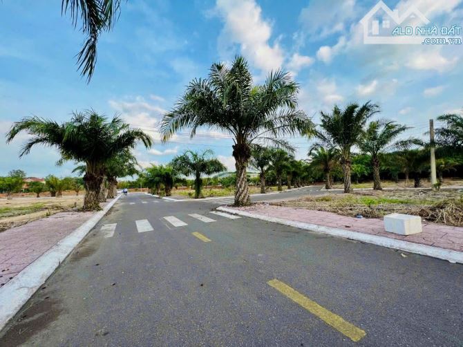 ĐẤT NỀN LONG THÀNH CÁCH SÂN BAY 5KM GIÁ CHỈ 12 TRIỆU/M². SỔ HỒNG RIÊNG. LIÊN HỆ NGAY!!!! - 1