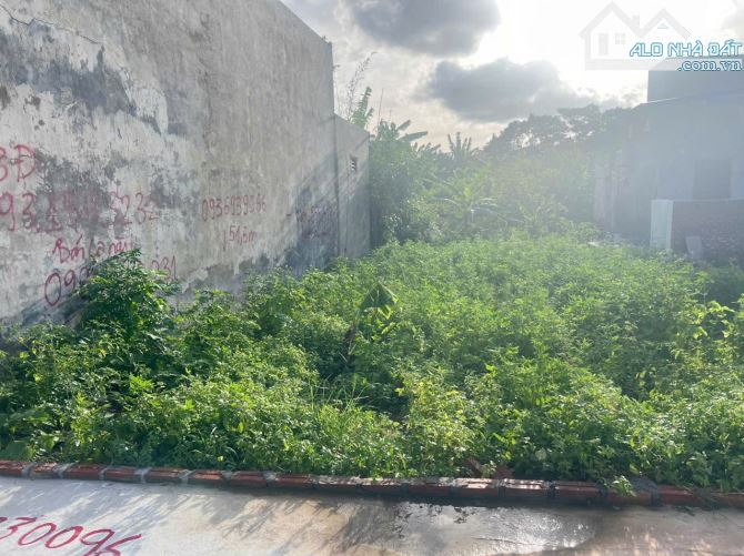 Bán lô 51,5m ngõ nông 3m tại Văn Cú, An Đồng, An Dương - 1