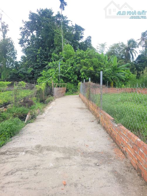 2,1Tỷ TL🔥Bán đất 71,3m2 cách đường Bình Nhâm 50 chỉ 50m, p.Bình Nhâm, Tp.Thuận An - 1