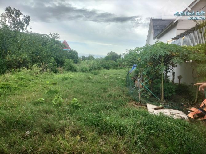2,6 tỷ 💢 Đất Bình Hữu 2 Đức Hòa Thượng  10 x 30 thổ cư 💯, shr. Bán 8,5/ trm2 ( 2,6 tỷ) - 1