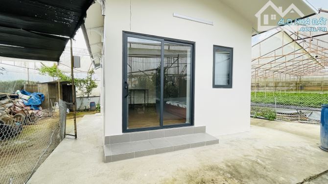 BÁN NHÀ CẤP 4 500m² (ngang 22m, dài 25m)VƯỜN RỘNG HẺM XE HƠI ĐƯỜNG AN BÌNH, P.03, ĐÀ LẠT - 1