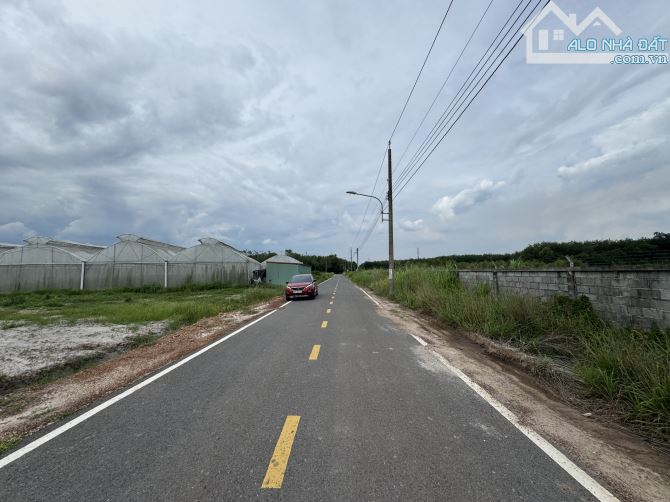 BÁN ĐẤT HỖN HỢP GẦN 5000M2 - LAI UYÊN, BẦU BÀNG - 19 TỶ - 1