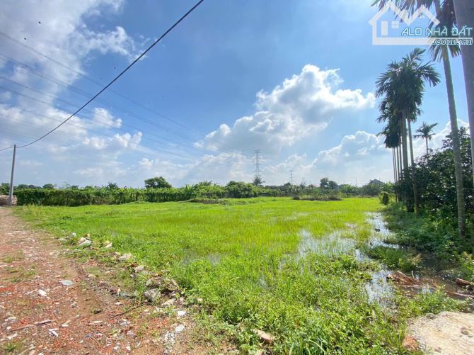 Đất nền sổ riêng, thổ cư. 100m² Tân Triều, Đồng Nai - 1