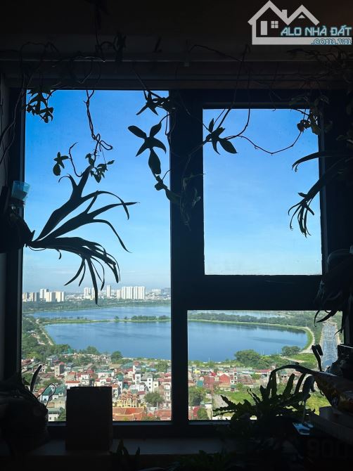 Bán 2 ngủ Gelexia 885 Tam Trinh giá 4,55 tỷ - 1