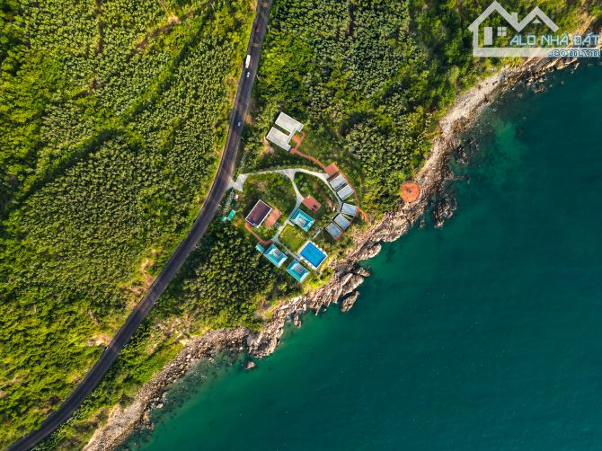 Chuyển nhượng resort biển quy nhơn. - 1