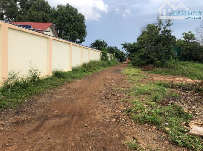 ĐẤT SÀO GIÁ TỐT SAU LƯNG TRƯỜNG MẦM NON CƯ EBUA 2,7 SÀO CHỈ 1,85 Ty - Loctran - 1