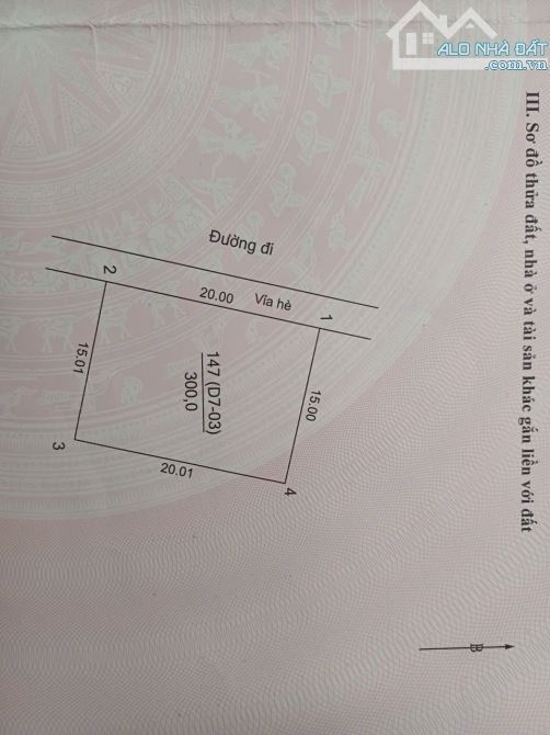 Bán mảnh đất Biệt thự 300m2 Hà Phong Mê Linh - 1