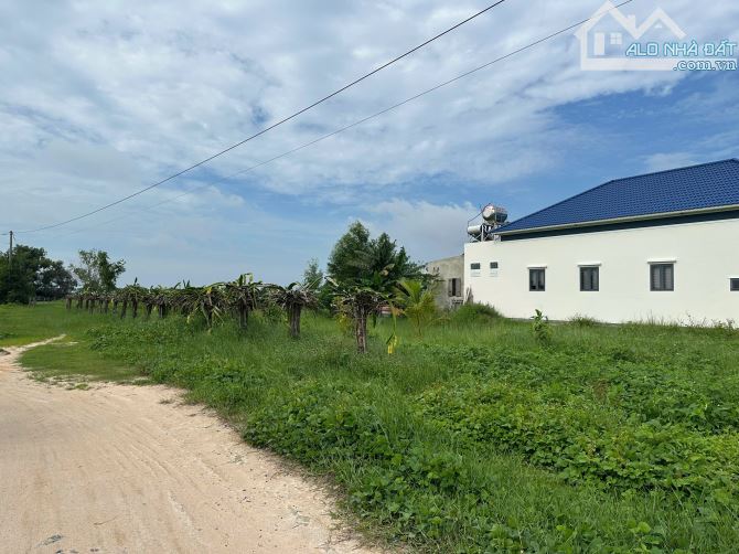 Bán 1410m2 đất Gần Biển Tân Bình, LaGi giá rẻ nhất chỉ 1.3tr/m2 sổ riêng - 1
